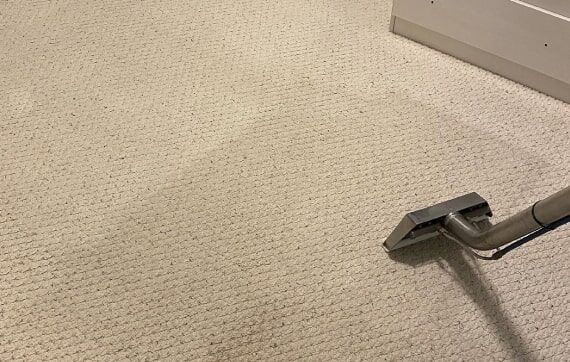 Carpet Cleaning Geelong 0488 811 269 24 7 Steam